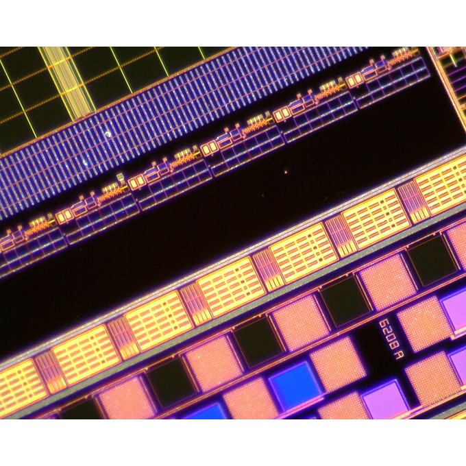 Microscop portabil 700-900X cu conectare USB si citire automata a nivelului de marire AM4515T8